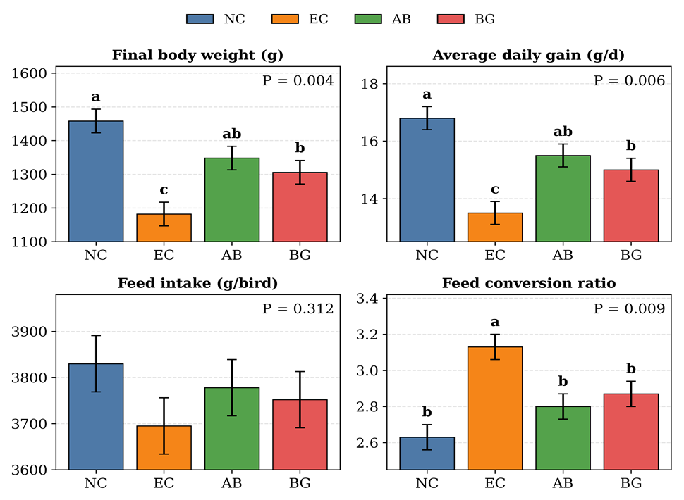 Whole plant black ginger in Escherichia coli-challenged yellow-feather broilers under cold-humid stress: a One Health model for reducing antimicrobial demand thumbnail