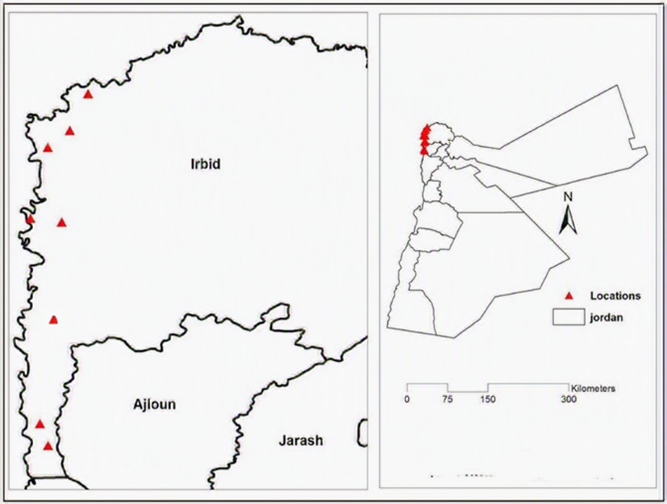 Serological evidence of bovine ephemeral fever in Jordan thumbnail